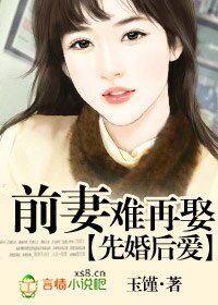 先婚后爱:前妻难再娶