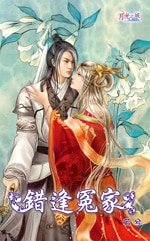 错逢冤家(出书版)