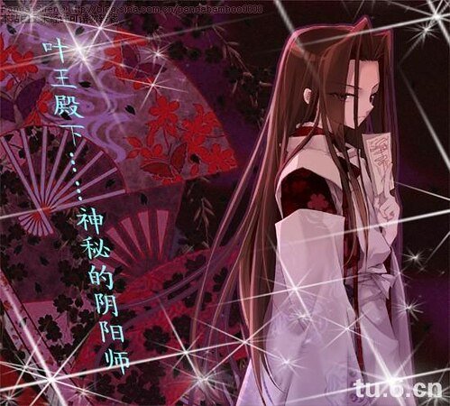 (通灵王同人)‘毒蝎’俘虏狂王爷の强强对阵