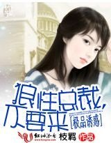 狼性总裁,不要来