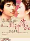 温柔总裁:一面钟情