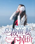 總裁前妻不掉價