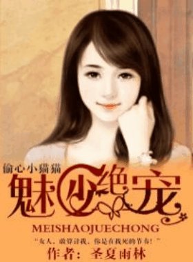魅少绝宠:偷心小猫猫/豪门少夫人:偷心小猫猫