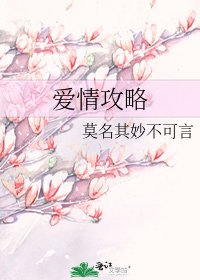 爱情攻略