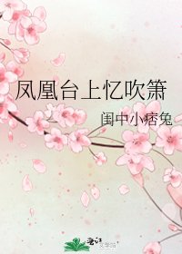凤凰台上忆吹箫