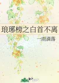 琅琊榜之白首不離