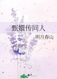 甄嬛传同人