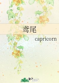 鸢尾