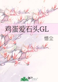 鸡蛋爱石头GL