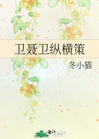 卫聂卫纵横策