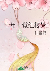 十年一觉红楼梦