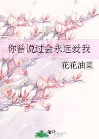 你曾说过会永远爱我