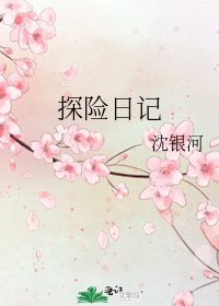 探险日记
