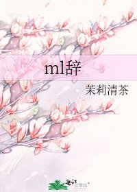 ml辞