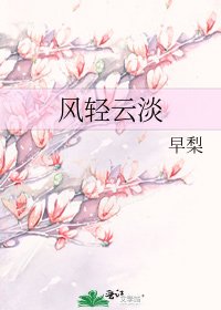 風輕雲淡