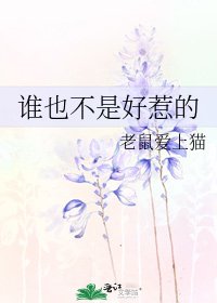 谁也不是好惹的