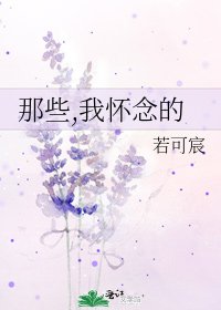 那些,我怀念的