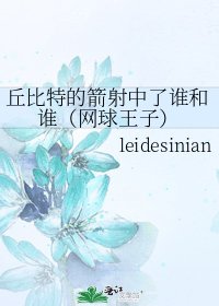 丘比特的箭射中了谁和谁(网球王子)