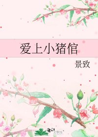 爱上小猪倌