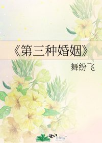 第三种婚姻