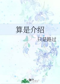 算是介绍
