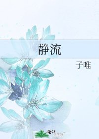 静流