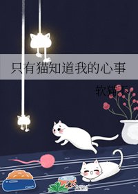 只有貓知道我的心事