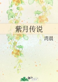 紫月传说