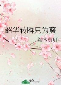 韶華轉瞬只為葵