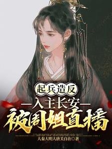 起兵造反,入主偿安,被周姐直播