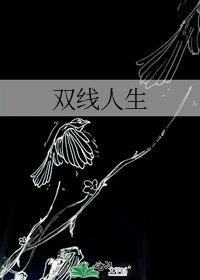 双线人生