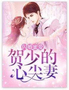 闪婚谜哎:贺少的心尖妻